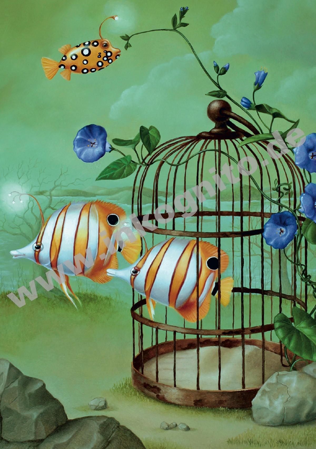 KD fish cage