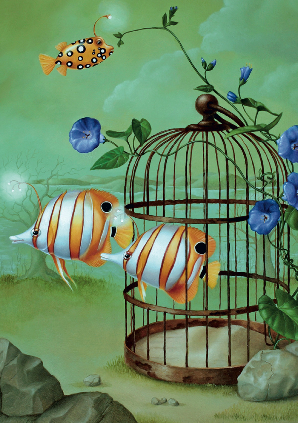 KD fish cage
