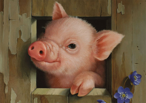 KD Festferkel