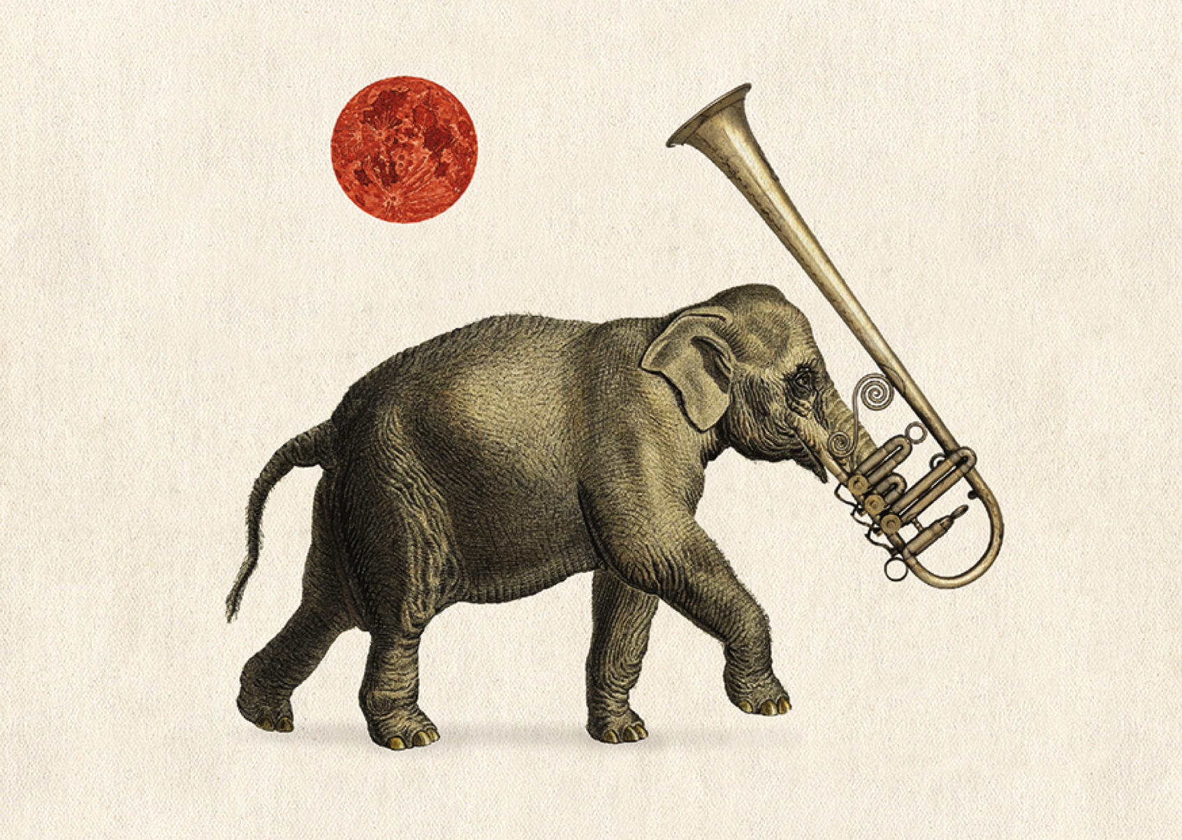 Sound  Fauna – Elephant