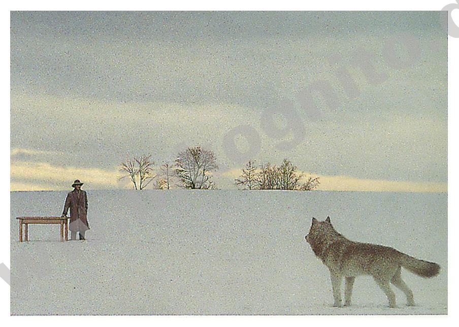 Poster "Wolf & Man"