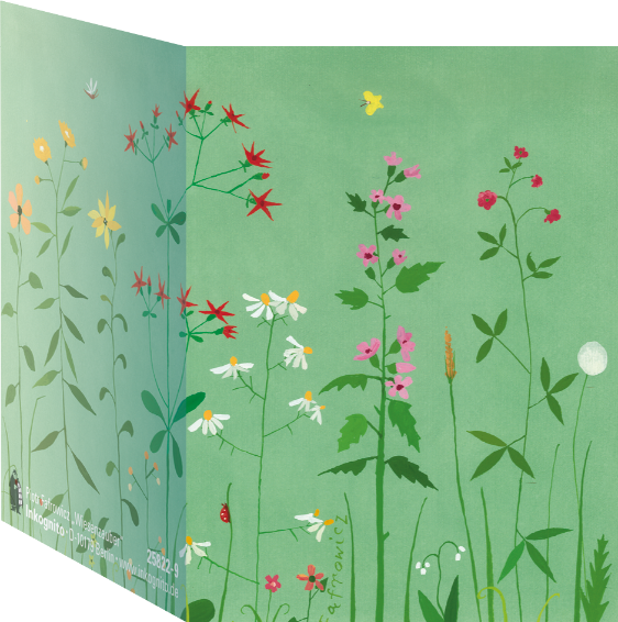mini & envelope "Meadow attraction"