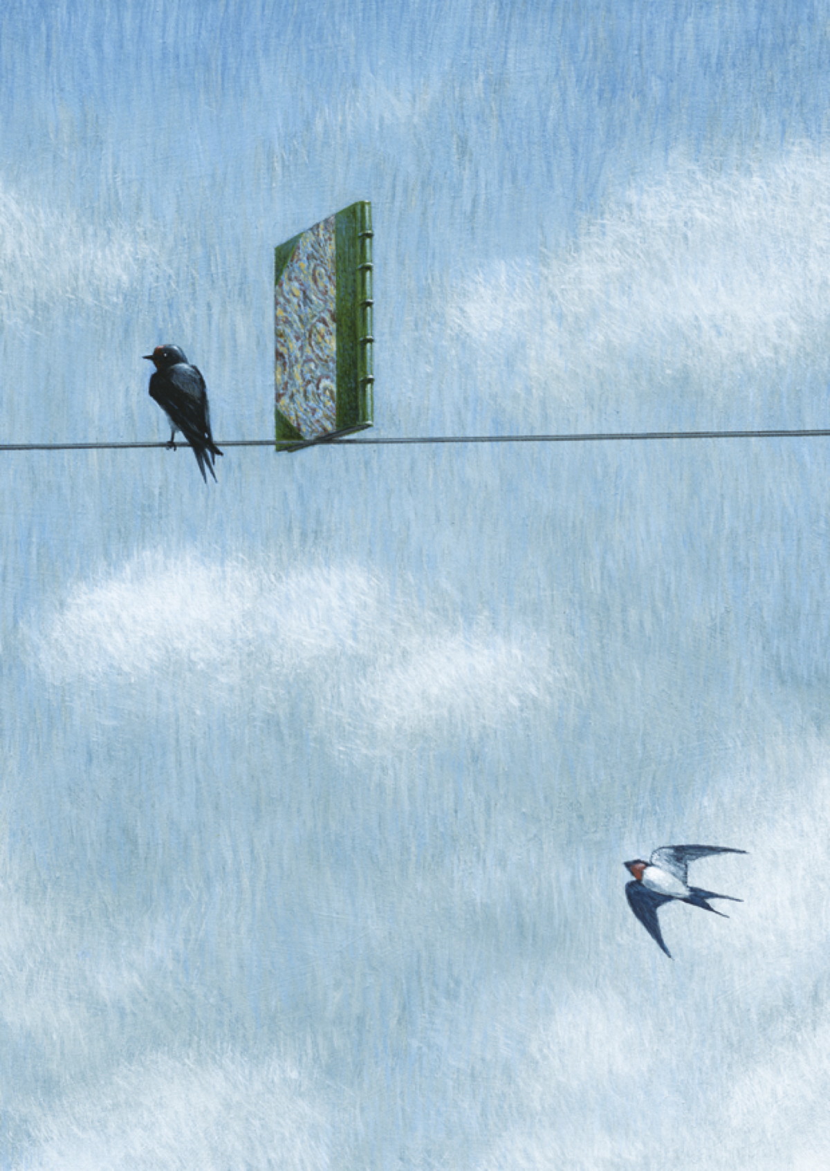 Book on a Wire Book on a Wire