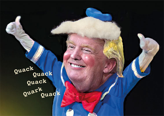 Plush card "Donald"