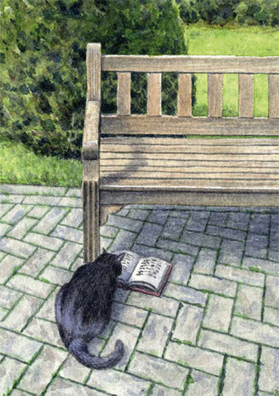 36846 Reading cat