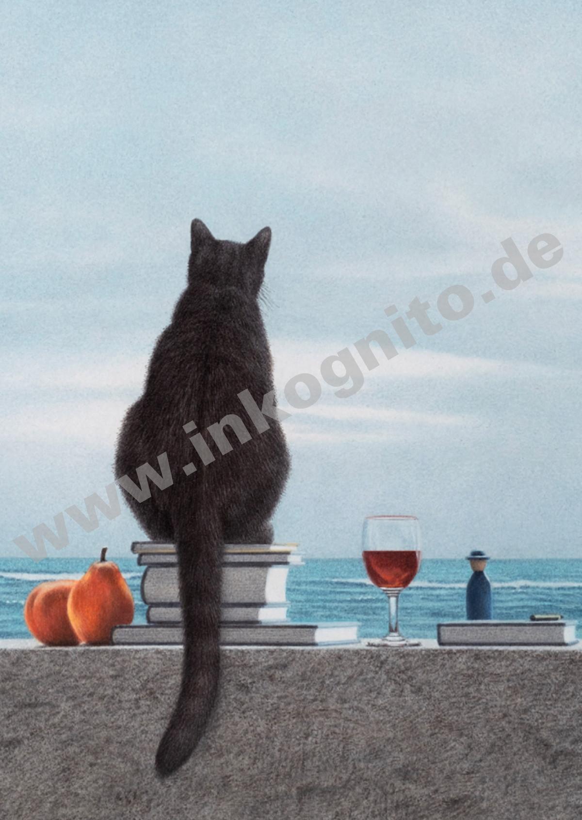 Cat by the sea