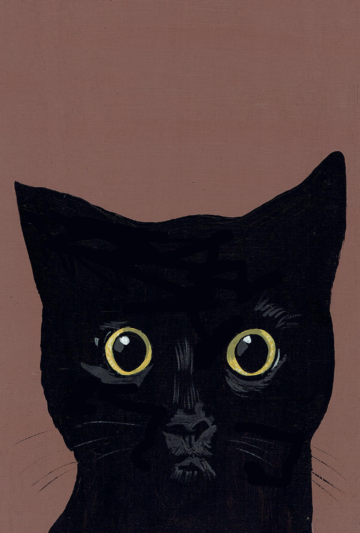 KD Black Cat