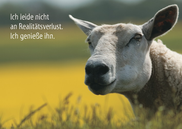 Realitätsgenuss