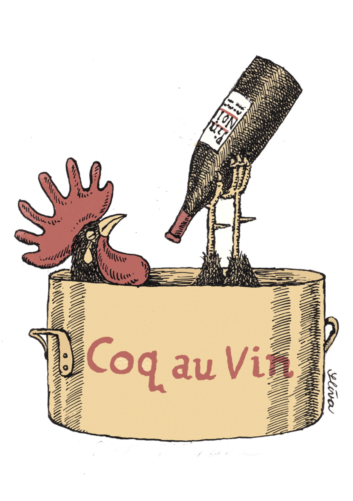 Coq au vin