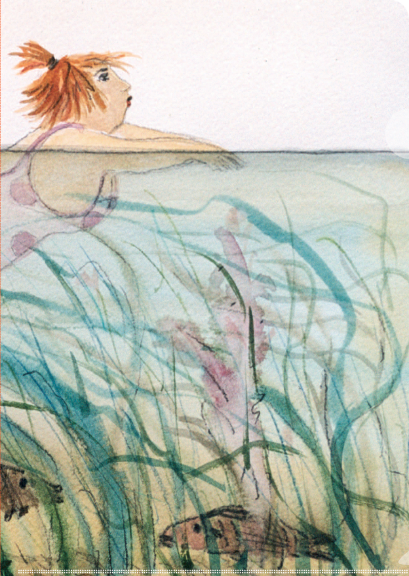 SH Aquarium