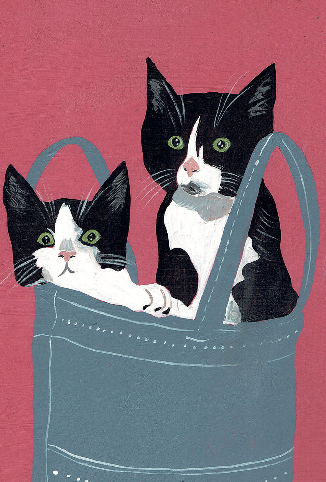 KD Cats in a Bag