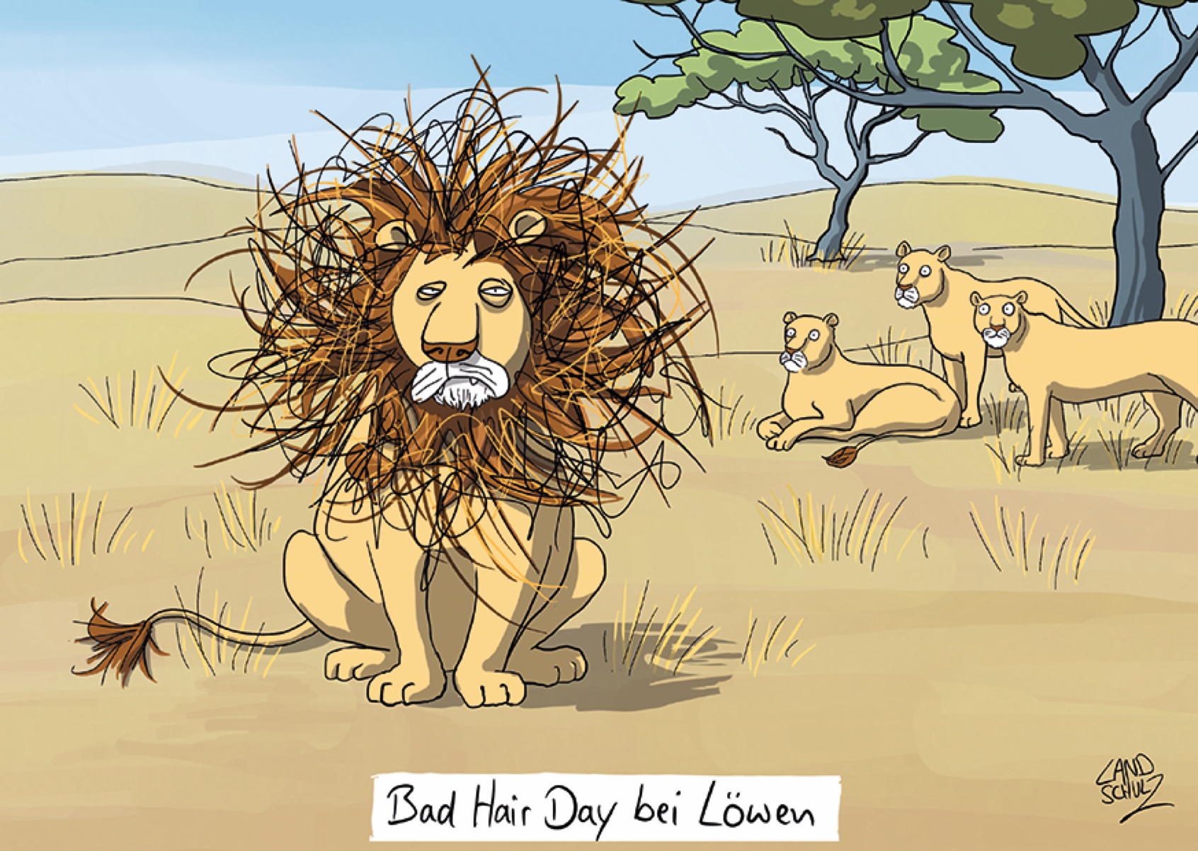 Bad Hair Day bei Löwen
