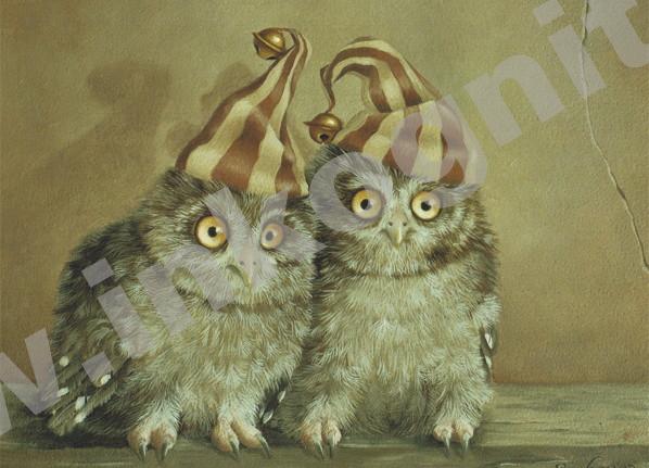 KD Happy owls